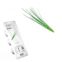 Click and Grow Chives